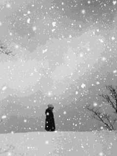 240_320竖版 竖屏gif 动态图 动图