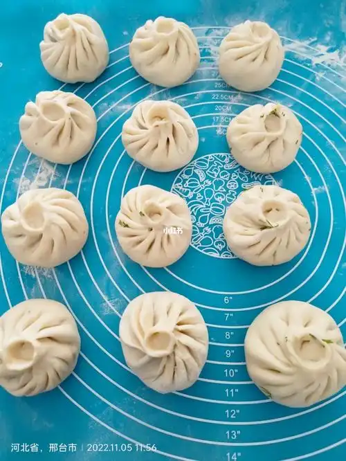 其实我原来也会包包子,自从看了小红书教程,于是企图放弃弃杂学而攻