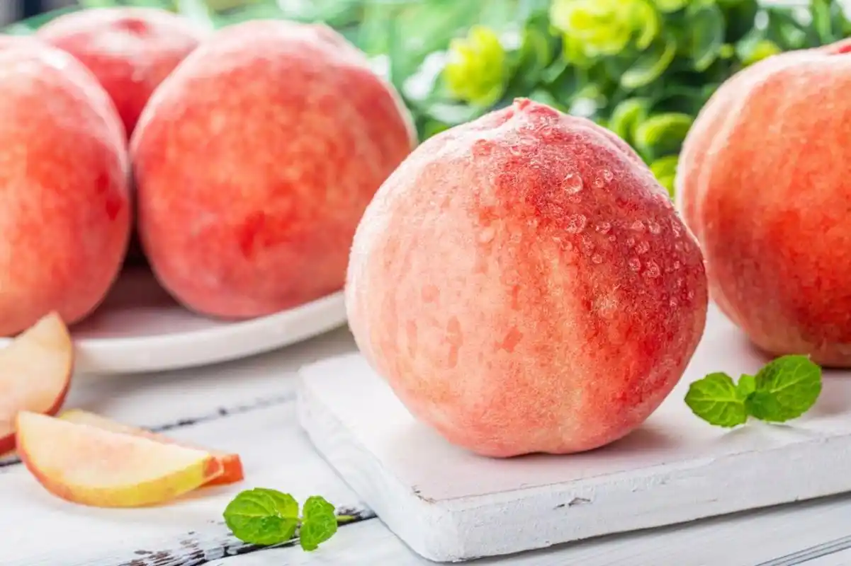 水蜜桃图片00好看04新鲜出炉甜甜桃99 香甜可口多汁的水蜜桃