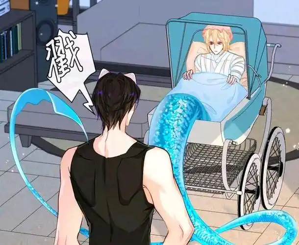 人鱼陷落:啵啵坐婴儿车,和白楚年去海洋公园,约会好甜!