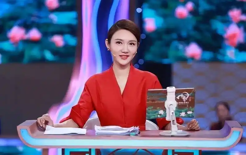 龙洋:27岁上春晚,被称"董卿接班人",29岁因升职太快引发争议_中国