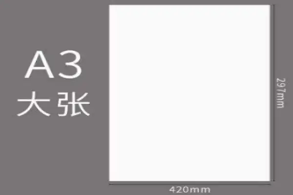 一张a3纸有多大?
