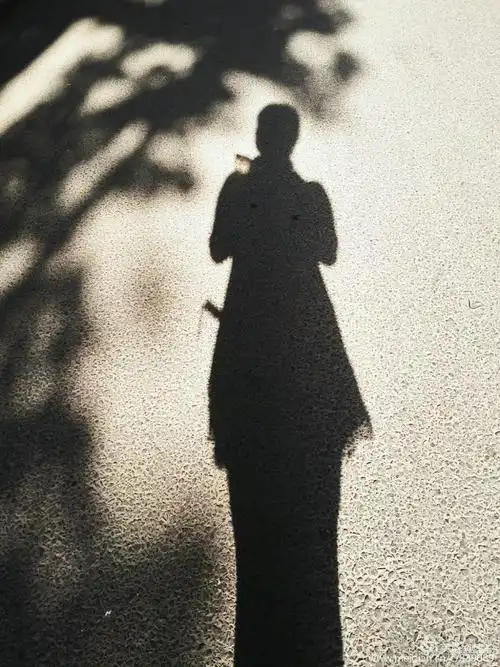 今天的天气格外晴朗,相约去看奇石展览,拍照的时候发现了自己的影子