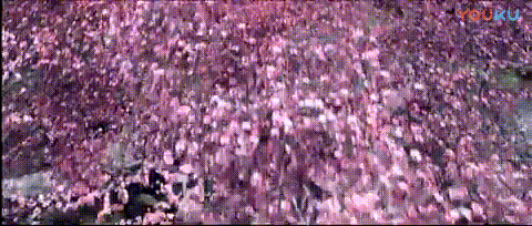 480_204gif 动态图 动图