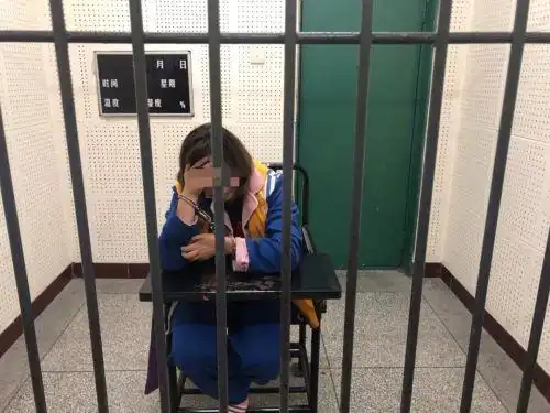 对话造谣"七中实验家长维权跳楼身亡"女嫌疑人:为博眼球,故意编造谣言