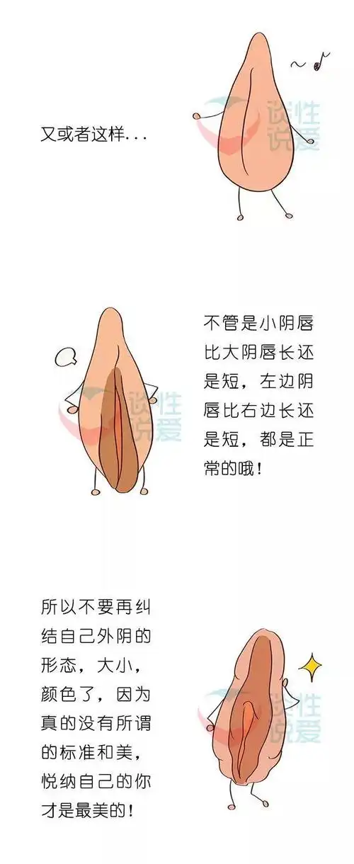 【图解】女孩子的"妹妹"到底怎样才是正常的?