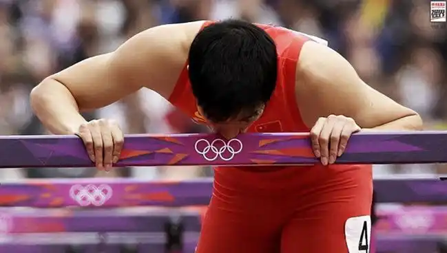 2004年"亚洲飞人"刘翔夺冠,政府奖255万豪宅今值多少钱?