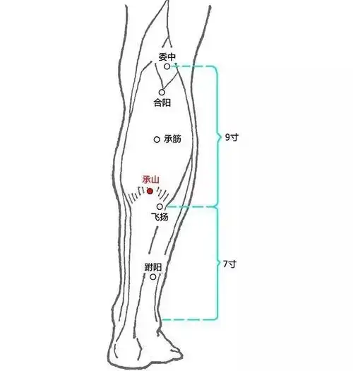 湿气重不重看这三个地方就知道