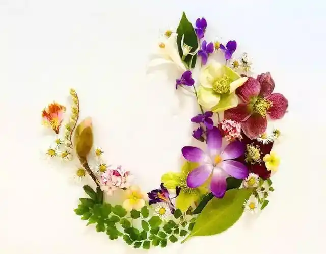 心理测试:选一组精心摆放的花瓣,测最近你的桃花运好吗