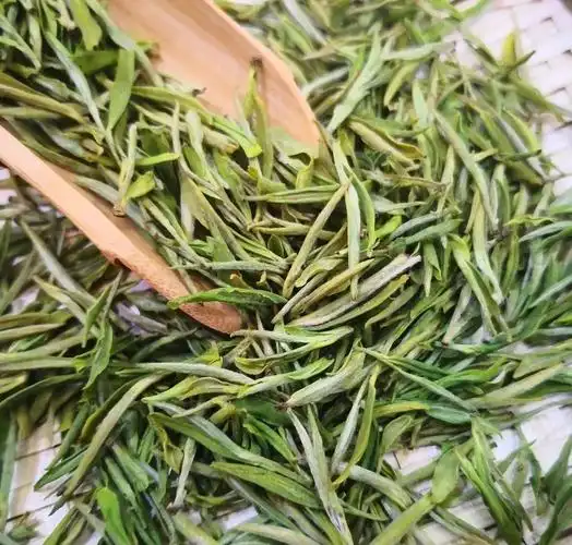 安吉|紫笋茶|龙井_新浪新闻