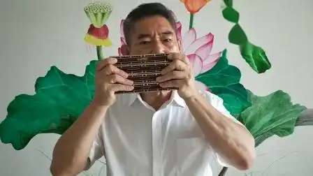 口琴独奏《西班牙斗牛士》——王植