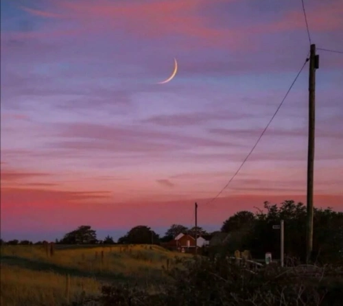 那些很干净的温柔句子