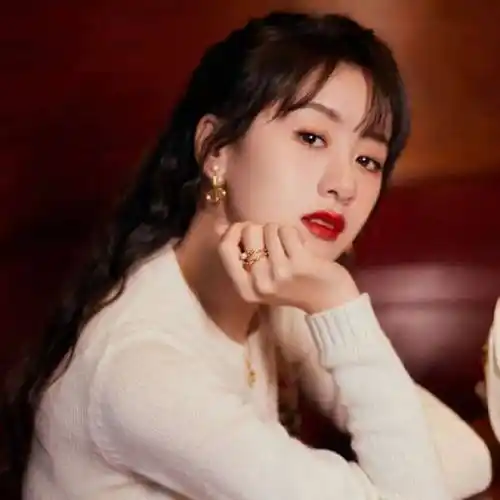 曝部分明星偷漏税数目或比公布的多袁冰妍关联公司也曾因偷漏税被罚