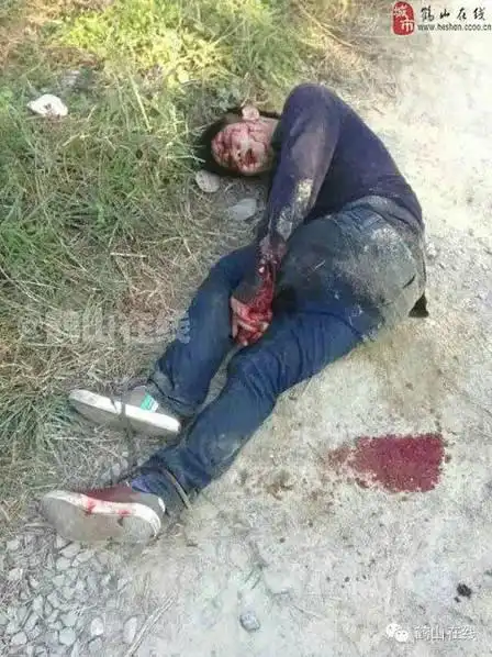 偷狗贼被群殴 满身是血