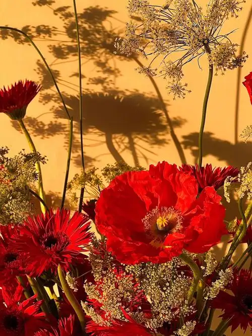 白红色插花虞美人插花