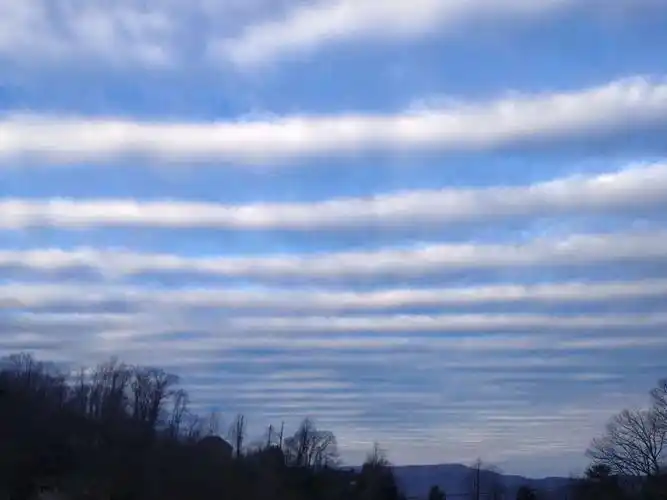 总之,说地震鱼和地震云是地震先兆,是没有科学依据的,因为有时候人们