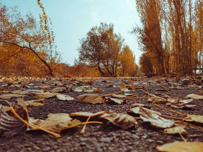 为什么秋天天气凉(为什么秋天天气越来越冷)