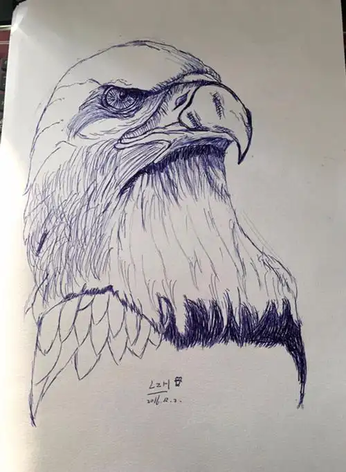 【每周评画】雄鹰写生