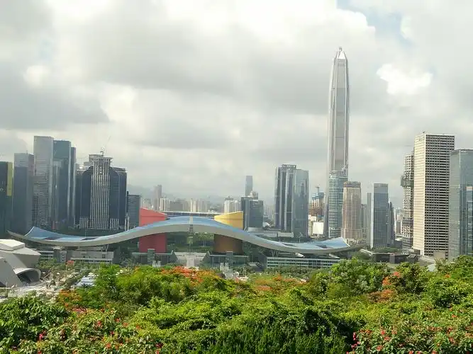 腑瞰深圳市一深圳市莲花山顶拍摄