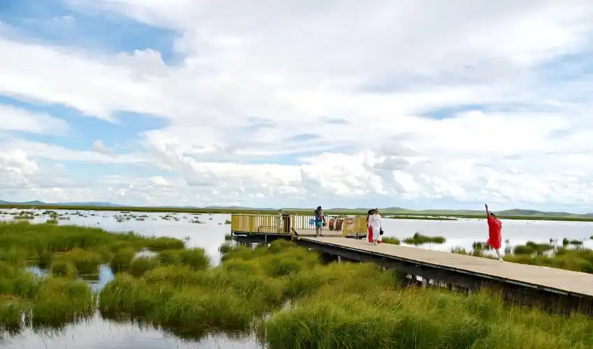 诺尔盖大草原花湖景区