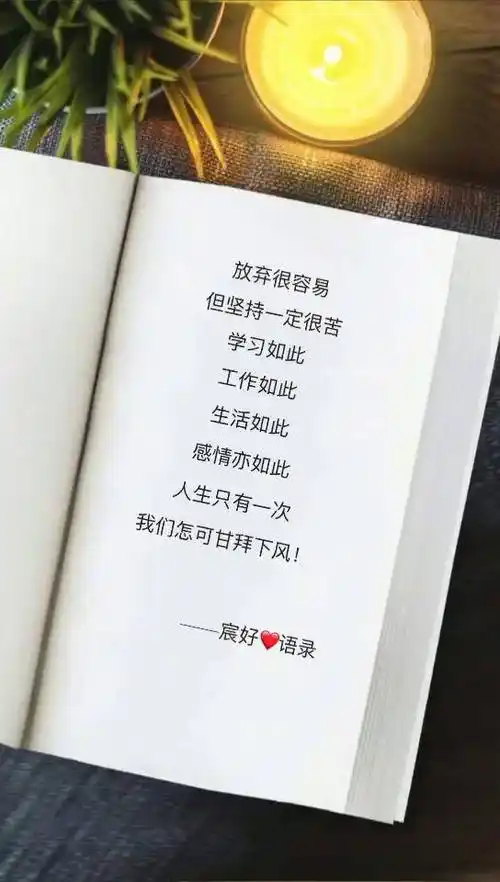 每日书摘每日推文文字语录书单励志抖音短视频dou小助手