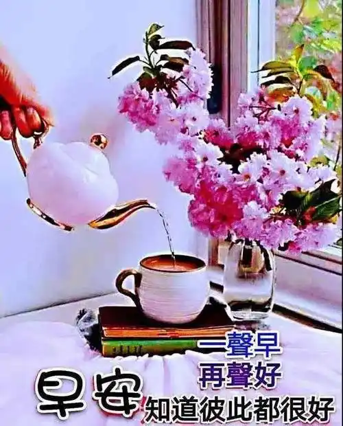 不用打字聊天的早安祝福图片创意唯美的朋友早上好问候祝福语图片带字