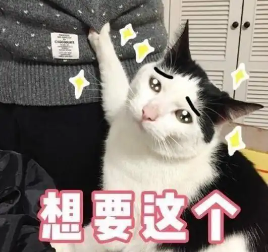 优惠合集_标签_得意生活