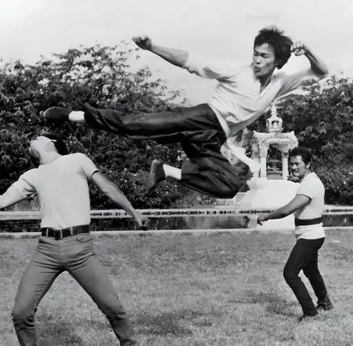 泰森谈李小龙:擂台上速度再快,我一拳也能把他打趴下