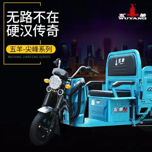 五羊传奇新款农用成人载重王快递电瓶车家用拉货农金彭电动三轮车