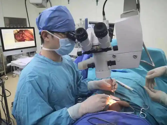 11男孩蛋蛋上长蚯蚓家长需警惕