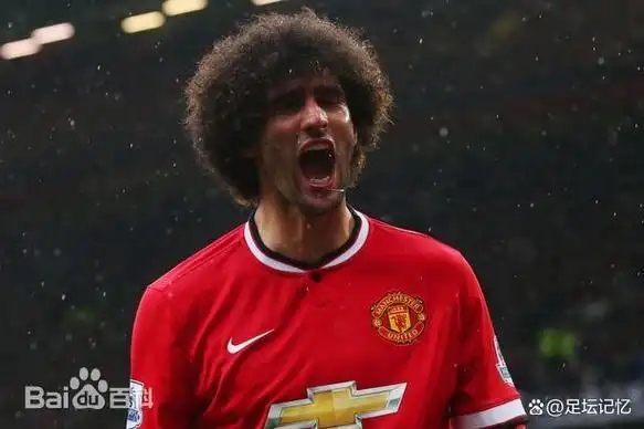 再见爆炸头——前比利时国脚费莱尼宣布退役