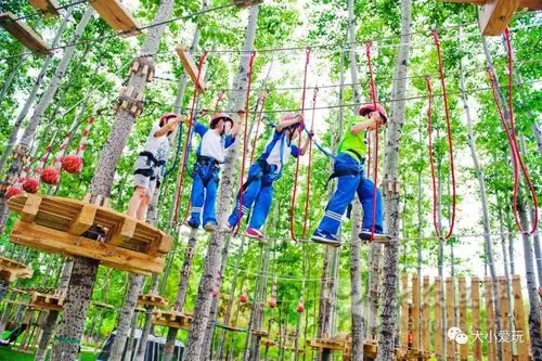 开在公园里的儿童拓展乐园地图随便哪个都能搞定娃