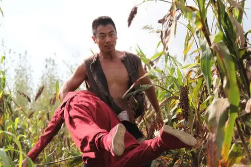 红高粱获七项提名朱亚文角逐视帝