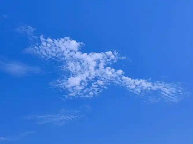 晴空万里雁南飞