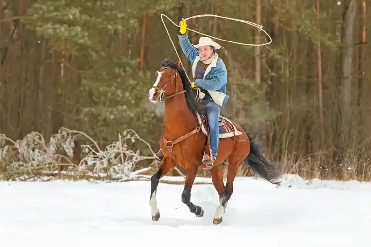 骑马的西部牛仔
