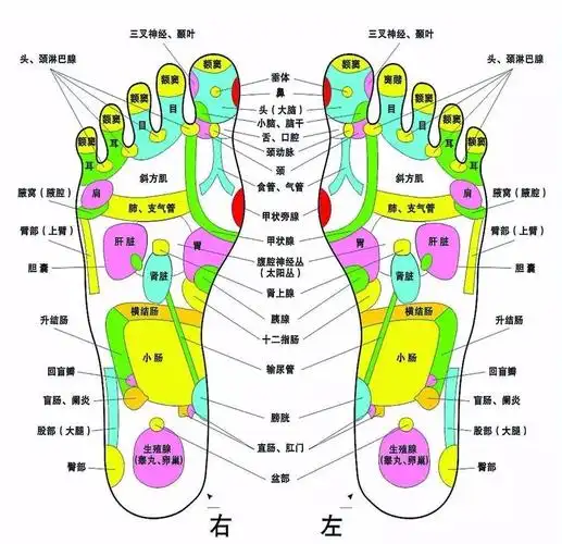 用它轻松在家就能做泰国足底马杀鸡,舒服到尖叫!