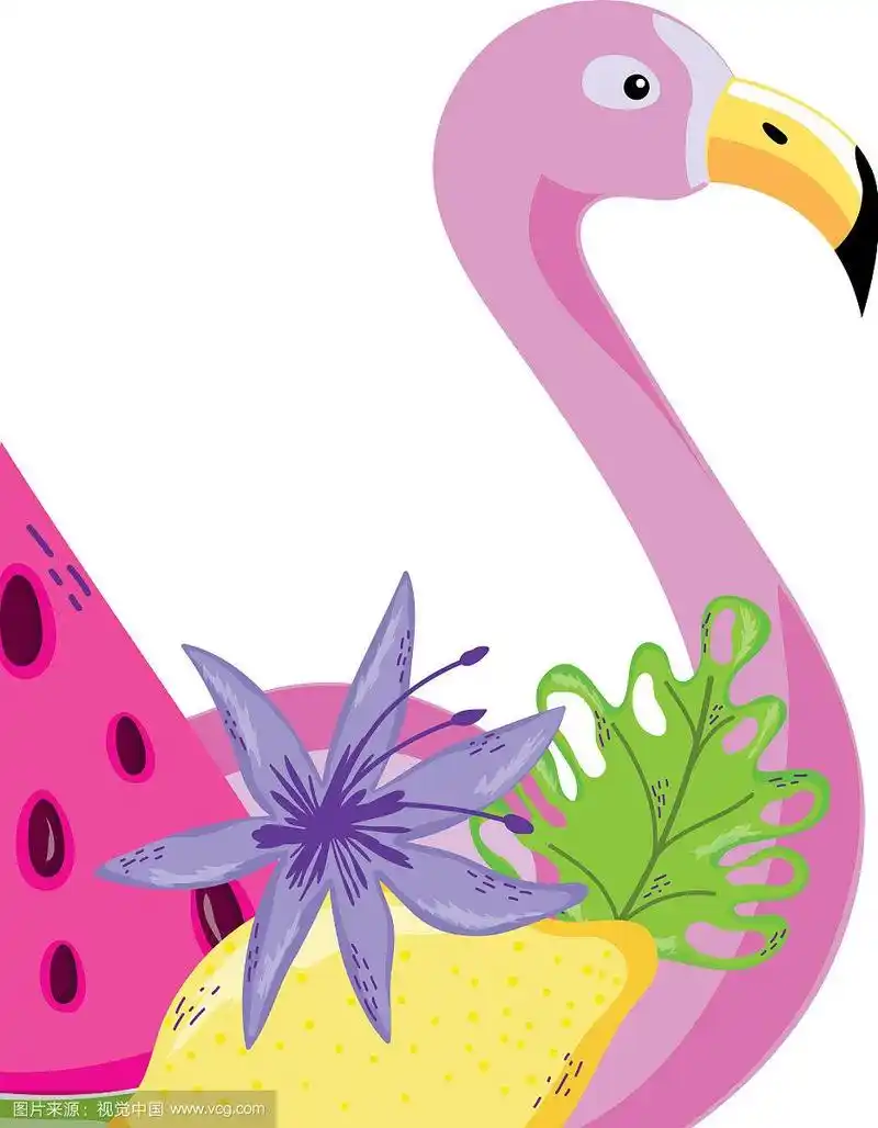 热带鸟类火烈鸟卡通