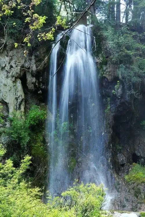 zol论坛>摄影论坛>摄影作品论坛>自然风景论坛>九寨沟真是个好地方>