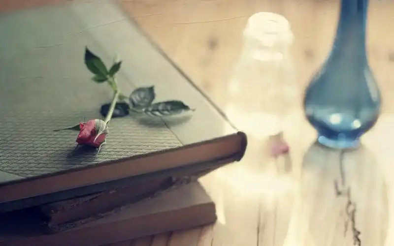 书本静物唯美意境图片电脑桌面壁纸第一辑