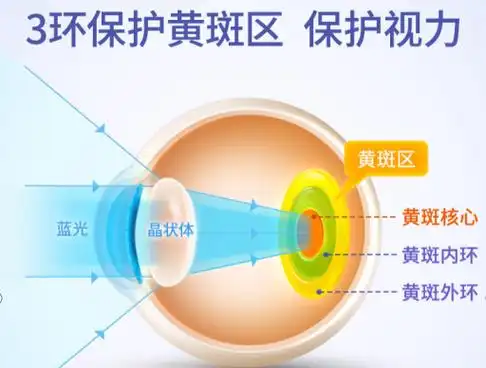 哪个护眼是眼睛更需要的营养?更好些? - 知乎