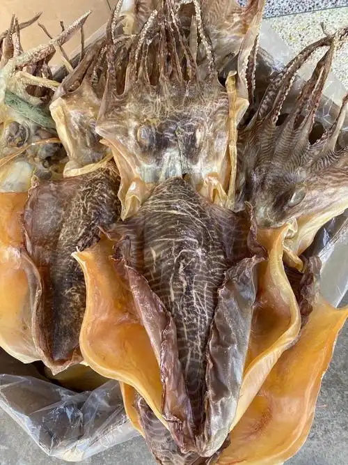 历代医家认为,墨鱼性味甘,咸,平,有滋肝肾,养 血滋阴,益气诸功效.