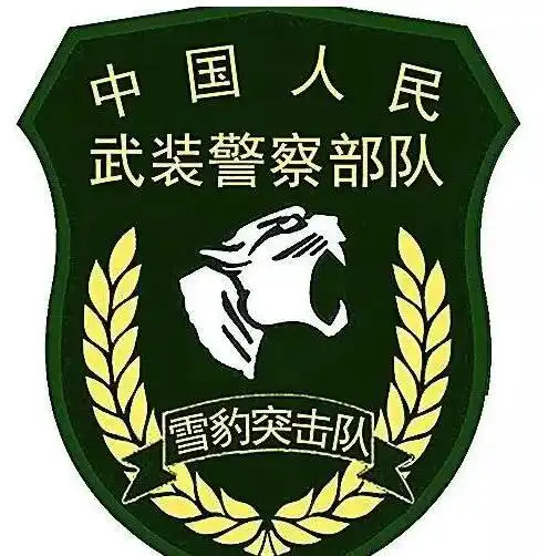 列举中国特种部队的臂章标识,看看你能认出几个来闪