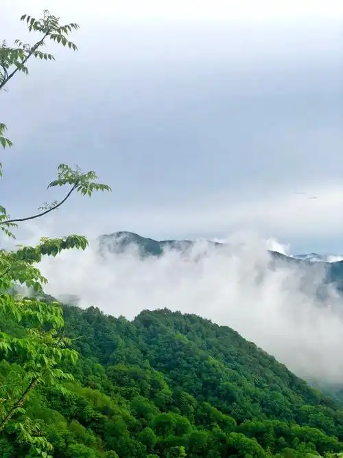 拥抱大自然,心情豁然开朗!