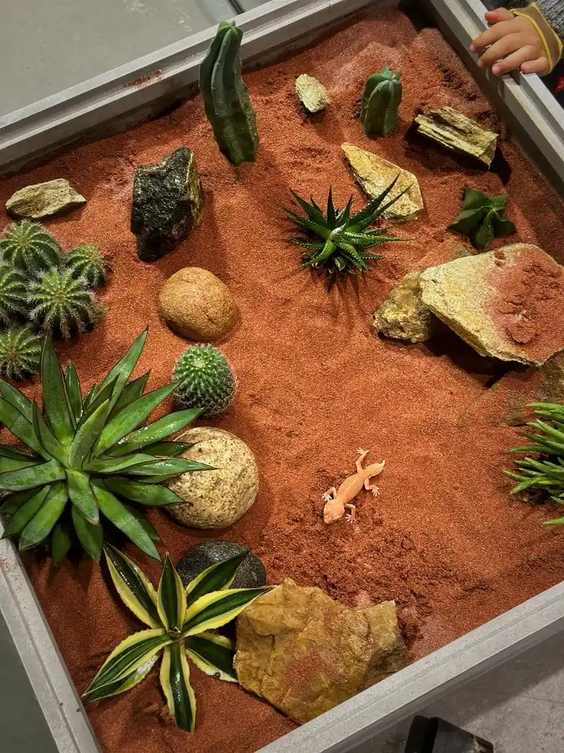 自己动手diy荒漠造景爬缸