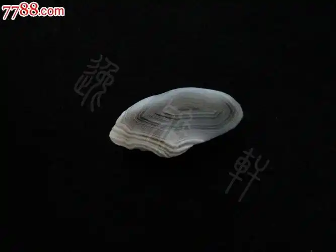 戈壁玛瑙黑白缠丝玛瑙原石