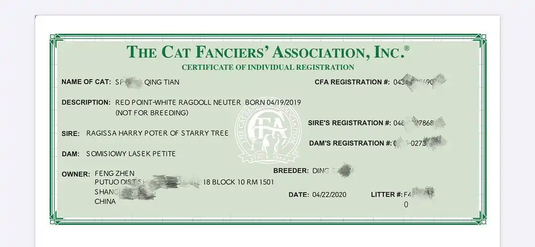 【讨论】不懂就问,cfa证书可以造假吗?