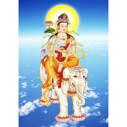 普贤菩萨佛像画像结缘普贤普萨佛像挂画像图相片双面塑封阿弥陀佛