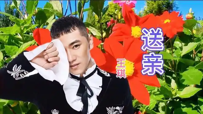 王琪《送亲》歌声伤感的旋律,走心的歌词,令人心酸,心痛,心碎-音乐