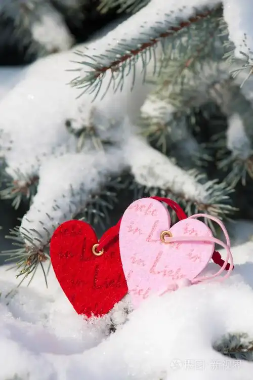 两颗心在树上的雪
