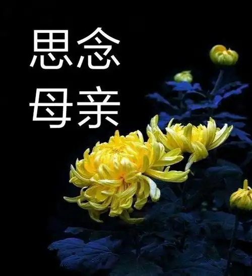 写美篇 思念母亲 去年的今天(3月10日)是一个难忘和悲痛的日子,母亲